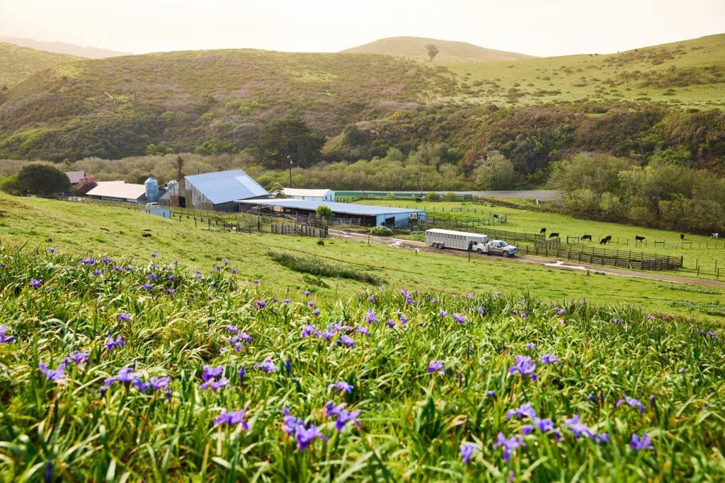 A ranch with a pasture in the foreground.