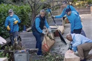 people doing yard work